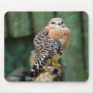 Red-shouldered Hawk Mousepad