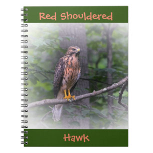 Red Shouldered Hawk Notebook
