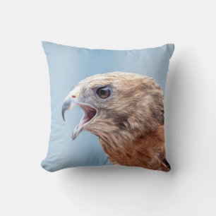 Red Shouldered Hawk on a rock Cushion