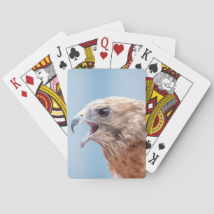 Red Shouldered Hawk on a rock Playing Cards