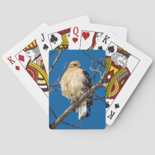 Red Shouldered Hawk Playing Cards