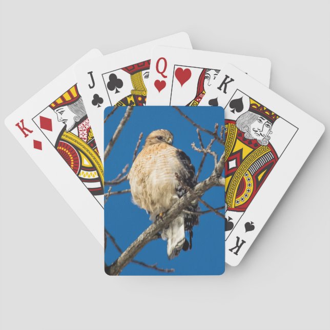 Red Shouldered Hawk Playing Cards (Back)