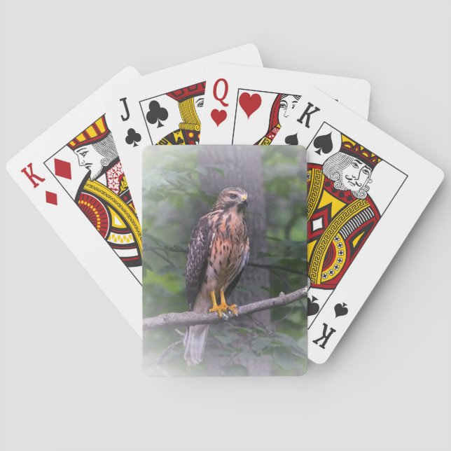 Red Shouldered Hawk Playing Cards (Back)