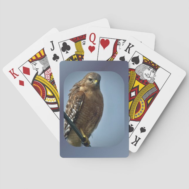 Red-shouldered Hawk Playing Cards (Back)