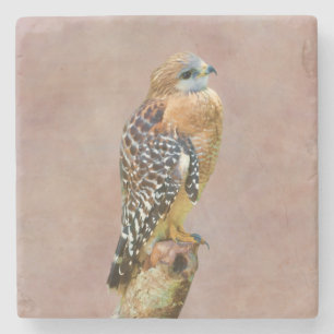 Red-Shouldered Hawk Stone Coaster