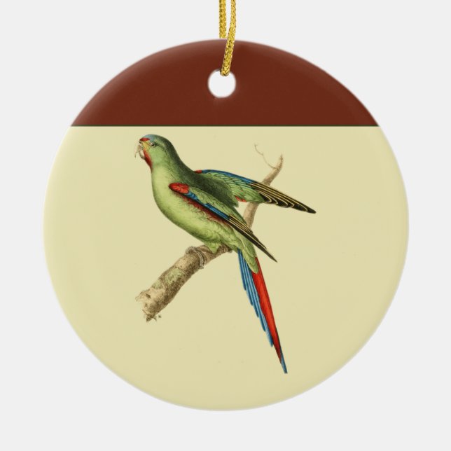 Red-shouldered Parakeet Ceramic Ornament (Front)