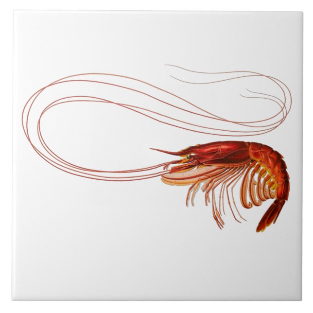 Red Shrimp on White Ceramic Tile (Front)