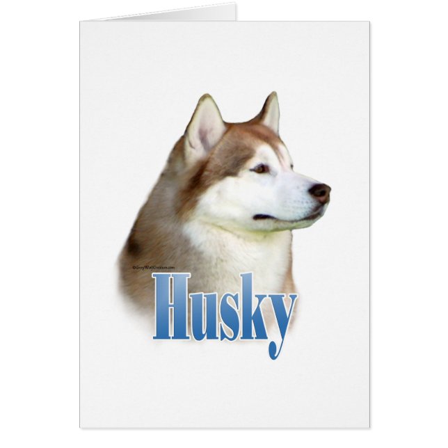 Red Siberian Husky Name (Front)