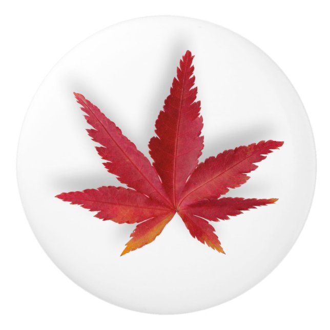 Red single autumn leaf ceramic knob (Front)
