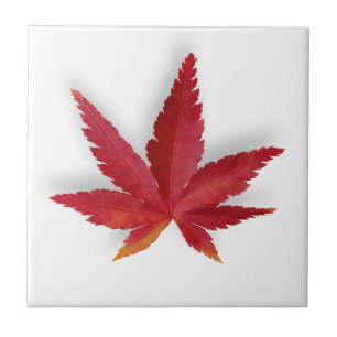 Red single autumn leaf ceramic tile