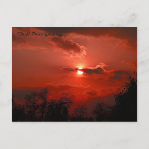 Red Sky Postcard