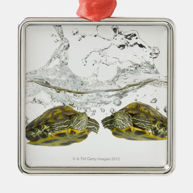 Red slider turtles metal ornament (Front)