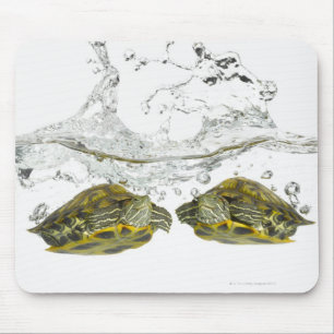 Red slider turtles mouse pad