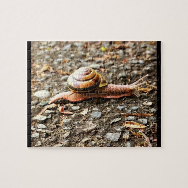 Red Snail on the Ground Jigsaw Puzzle (Horizontal)