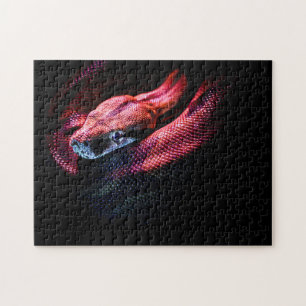 Red Snake on Black - HD Photo Puzzle