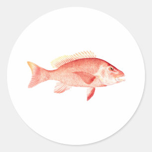 Red Snapper Classic Round Sticker