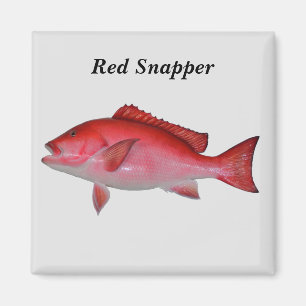 Red Snapper fish background Magnet