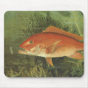 Red Snapper Fish by Kilbourne, Vintage Marine Life Mouse Pad