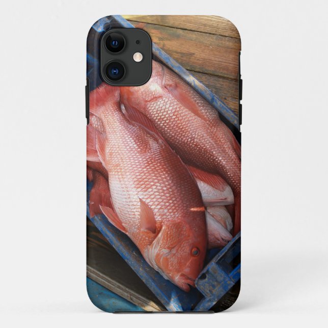 Red Snapper Fish iPhone 5 Case-Mate iPhone Case (Back)