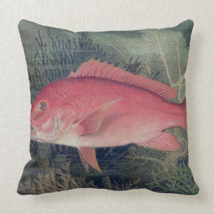 Red Snapper, from 'Game Fishes of the United State Cushion