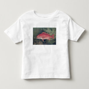 Red Snapper, from 'Game Fishes of the United State Toddler T-Shirt