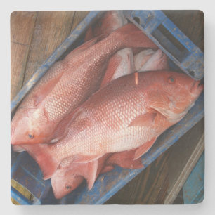 Red Snapper Square coaster