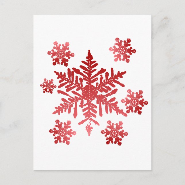 Red Snowflakes Postcard (Front)