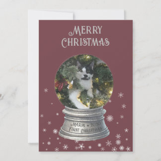 Red Snowglobe Snowflake Photo Flat Holiday Card