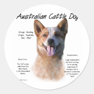 Red Speckle Australian Cattle Dog History Classic Round Sticker