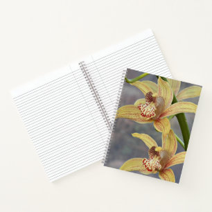 Red Speckled Cymbidium Orchids Floral Notebook