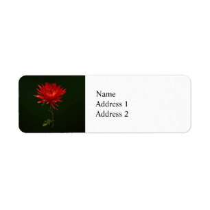 Red Spider Mum Return Address Label