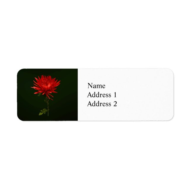 Red Spider Mum Return Address Label (Front)