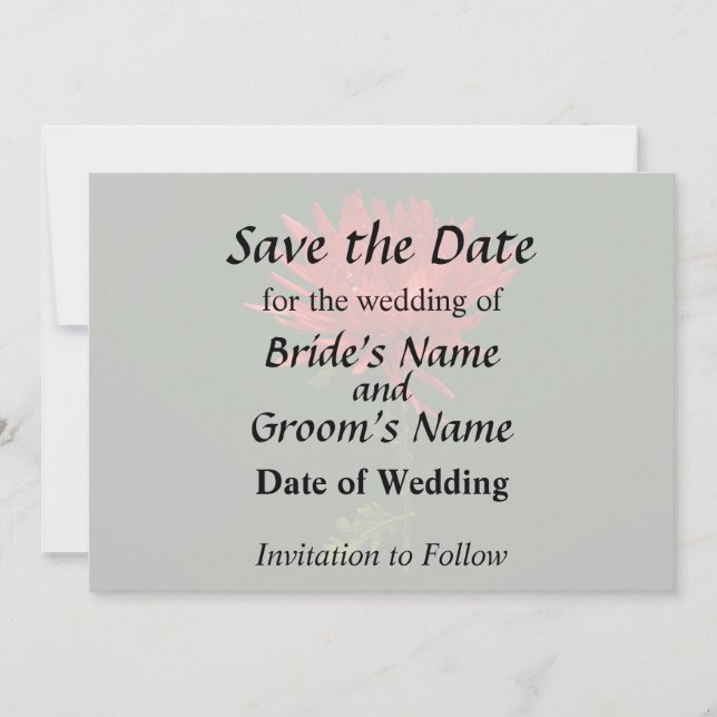 Red Spider Mum Save The Date (Front)