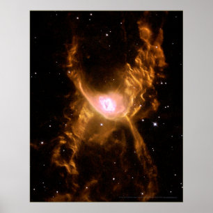 Red Spider Nebula 16x20 (16x20) Poster