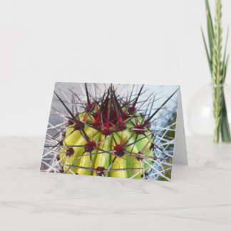 Red Spines Products Card