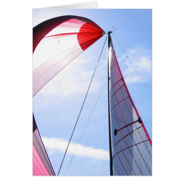 Red Spinnaker With Sun (Front)