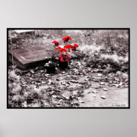 Red Splash