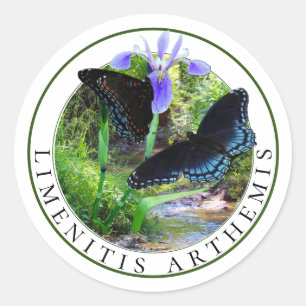 Red Spotted Purple Butterflies and Blue Flag Iris Classic Round Sticker