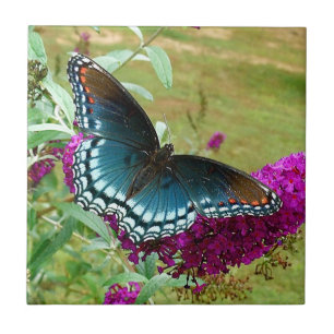Red Spotted Purple Butterfly Ceramic Tile