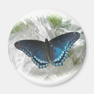 Red Spotted Purple Butterfly Magnet