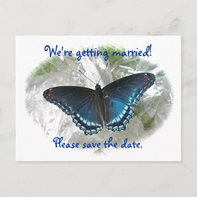 Red Spotted Purple Save the Date Wedding Postcard (Front)