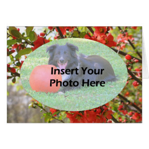Red Spring Blossoms Floral Photo Card