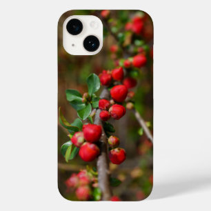 Red Spring Buds iPhone Case