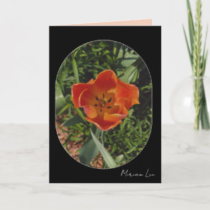 red spring flower card