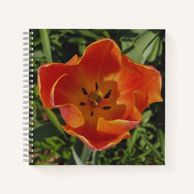 red spring flower  notebook (Front)