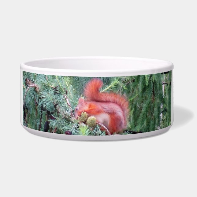 Red Squirrel (Front)