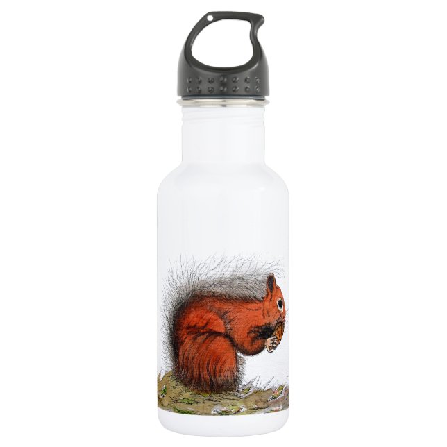 Red Squirrel 532 Ml Water Bottle (Front)