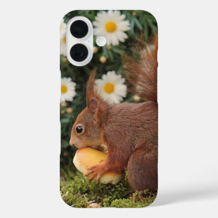 Red Squirrel and Daisies Cute Photo iPhone 16 Case