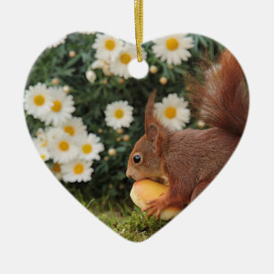 Red Squirrel and Daisies Cute Photo Ceramic Ornament