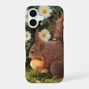 Red Squirrel and Daisies Cute Photo iPhone 16 Case